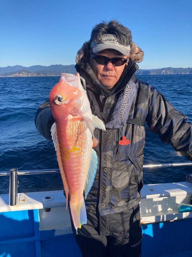 アマダイ(アカアマダイ)