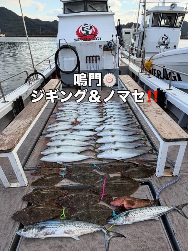 アコウ(キジハタ)・ブリ・サワラ・ヒラメ