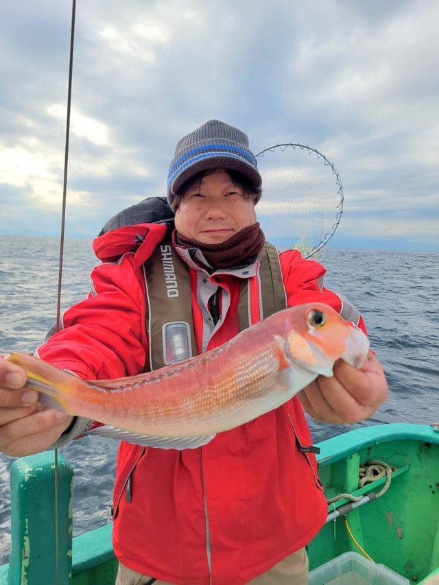 アマダイ(アカアマダイ)