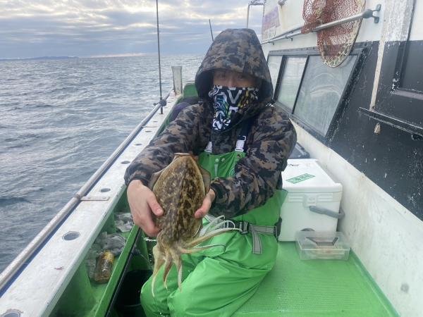 モンゴウ(カミナリイカ)