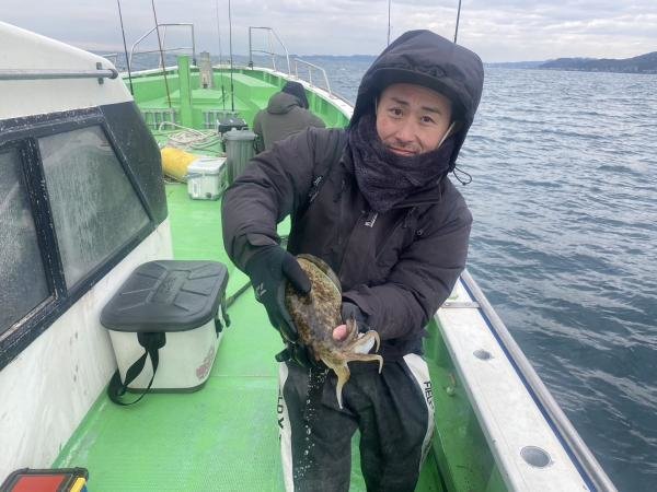 モンゴウ(カミナリイカ)