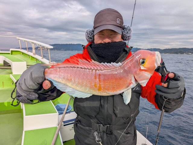 アマダイ(アカアマダイ)