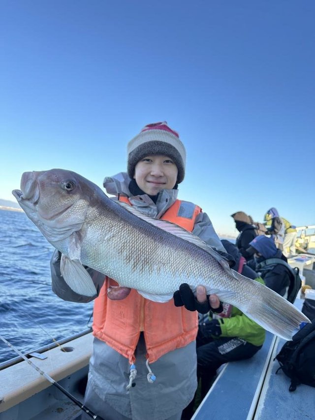 アマダイ(アカアマダイ)