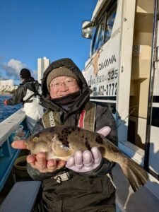 ヒガンフク(ヒガンフグ)