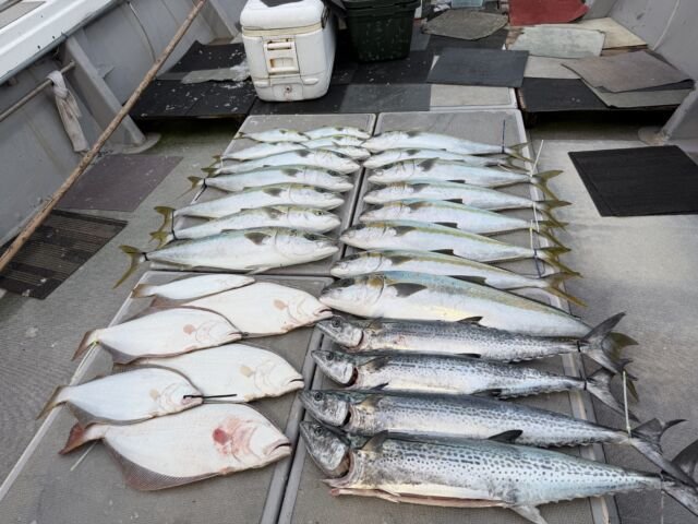 サワラ・ヒラメ