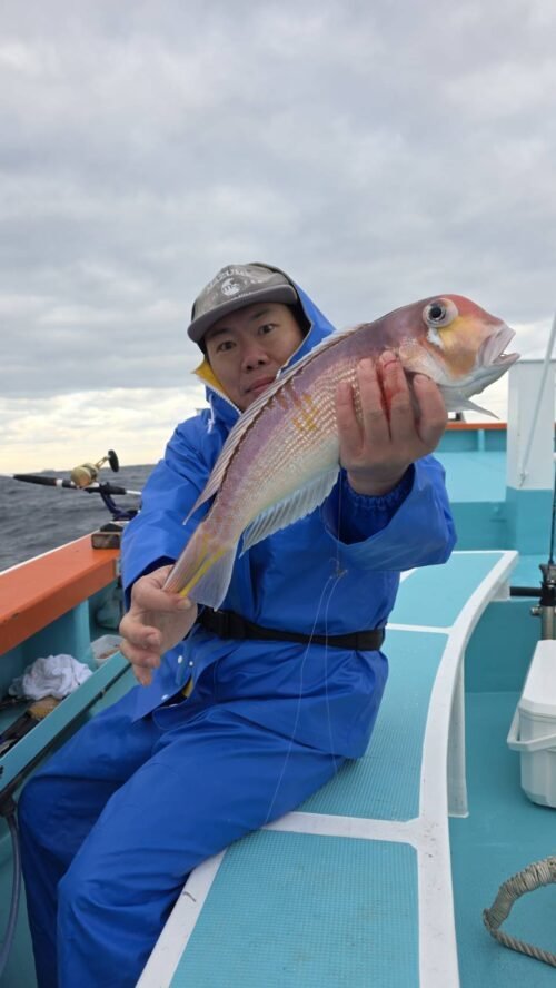 アマダイ(アカアマダイ)