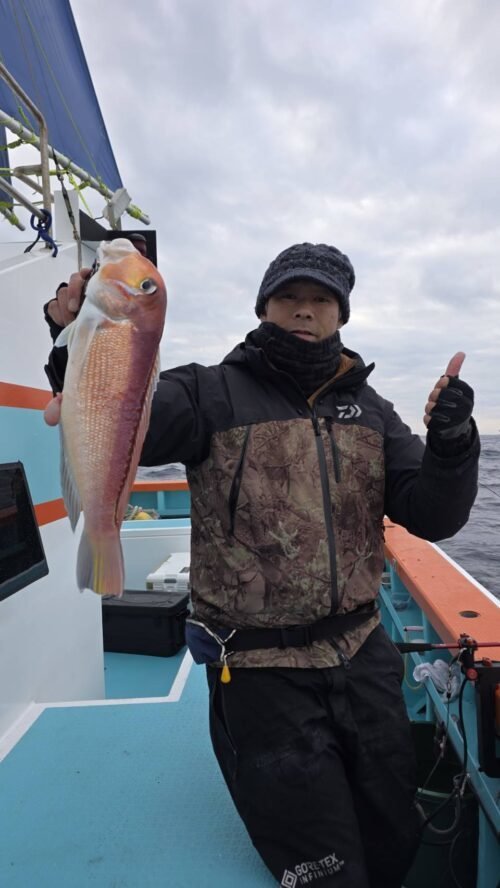 アマダイ(アカアマダイ)