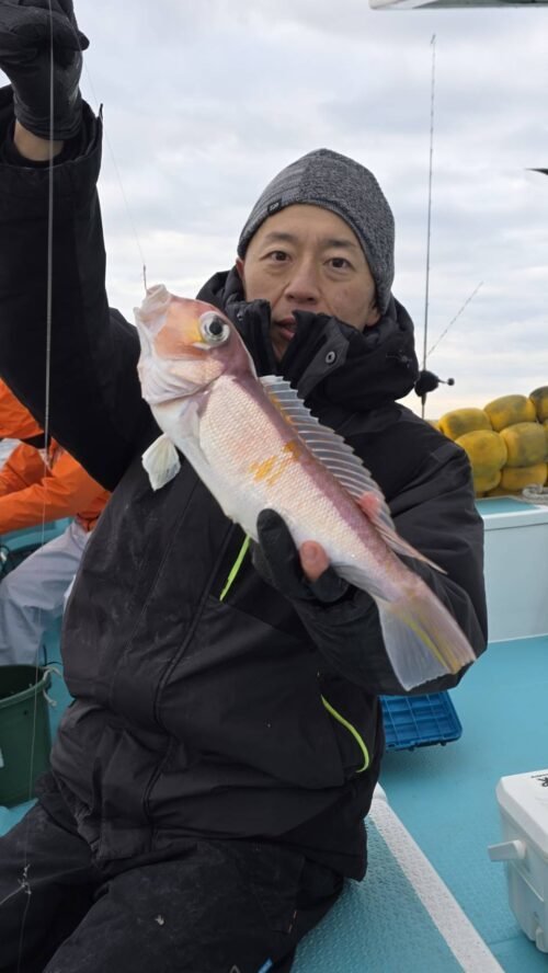 アマダイ(アカアマダイ)