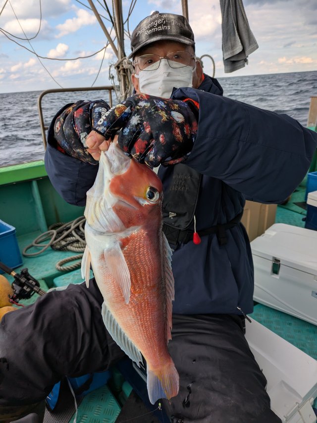 アマダイ(アカアマダイ)