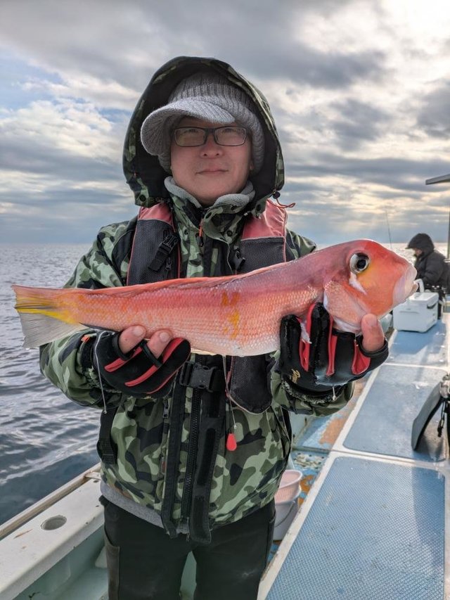 アマダイ(アカアマダイ)