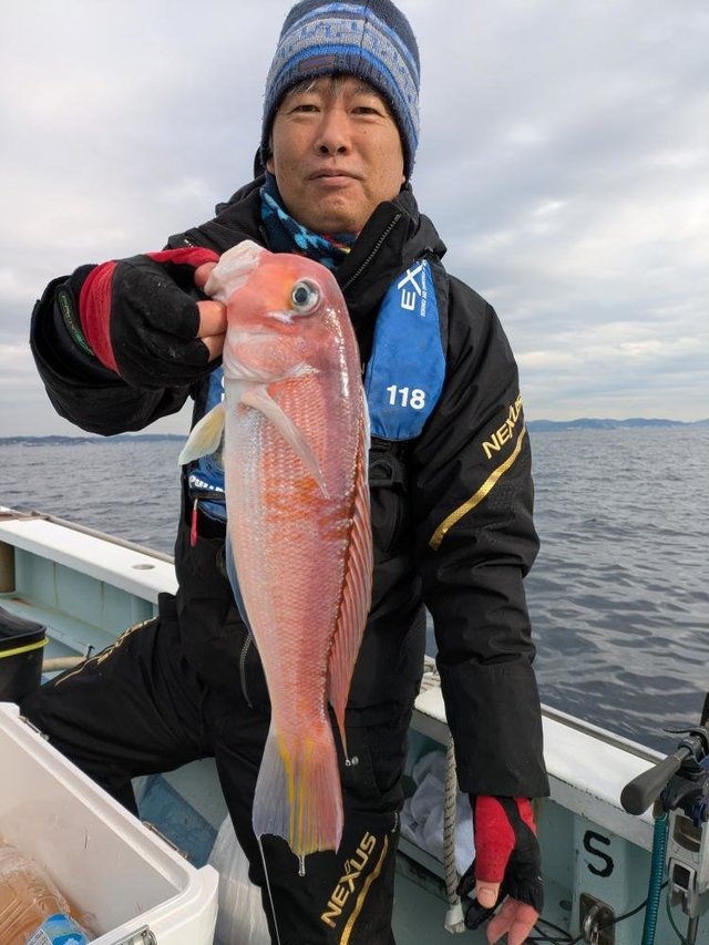 アマダイ(アカアマダイ)