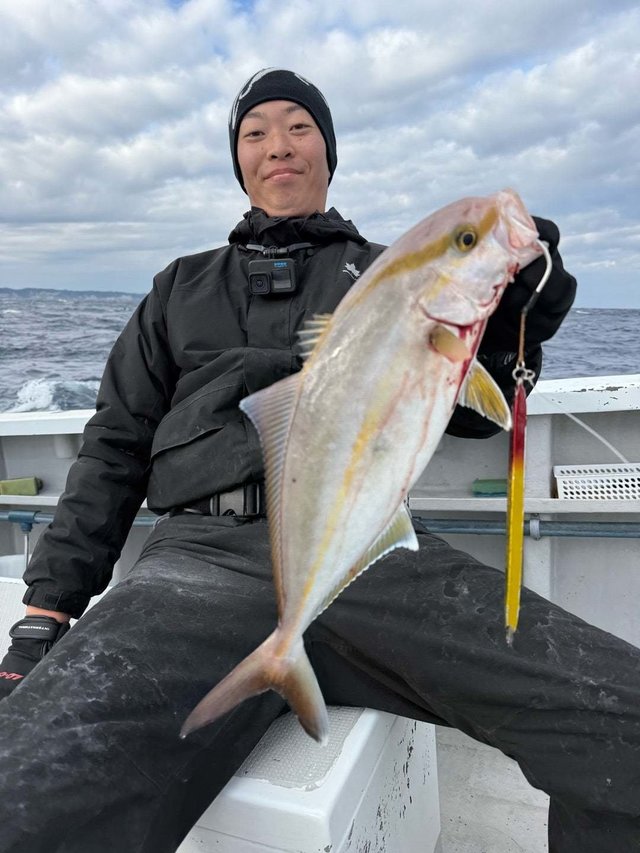 ショゴ(カンパチ)