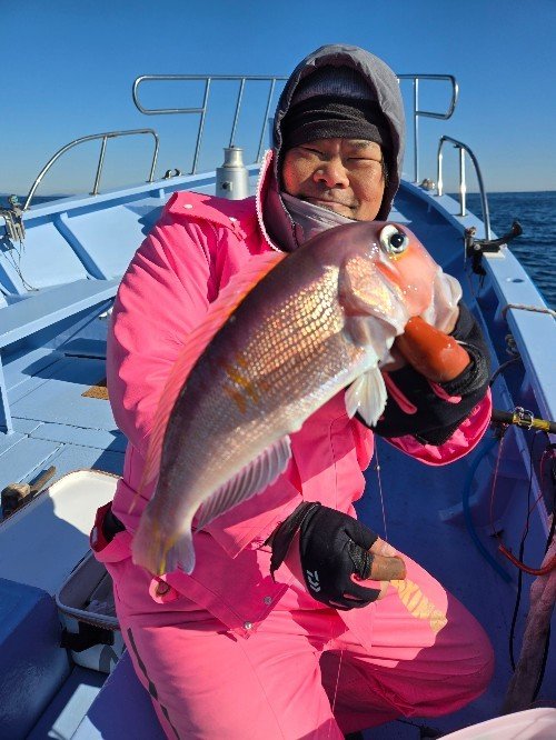 アマダイ(アカアマダイ)