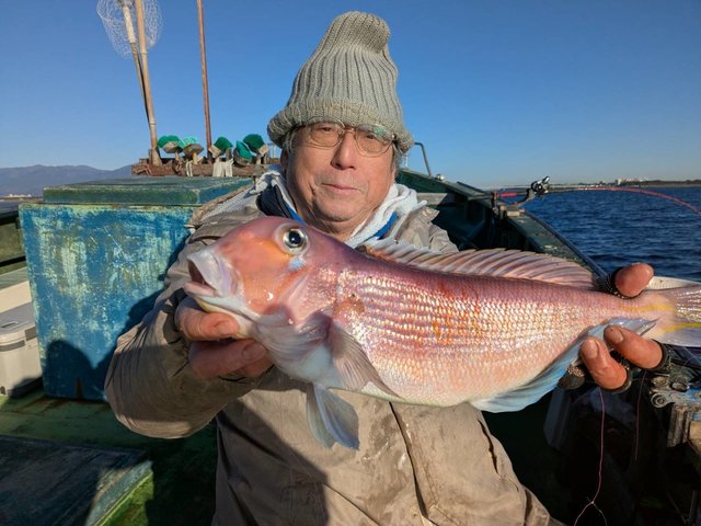 アマダイ(アカアマダイ)