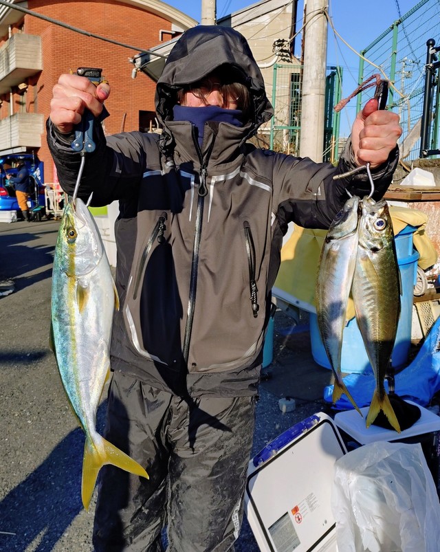 アジ(マアジ)・イナダ(ブリ)