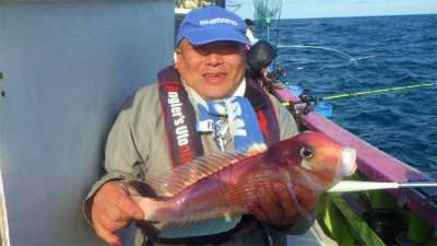 アマダイ(アカアマダイ)