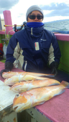 アマダイ(アカアマダイ)