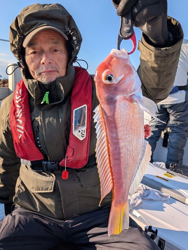 アマダイ(アカアマダイ)