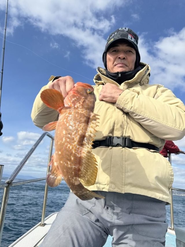 アコウ(キジハタ)