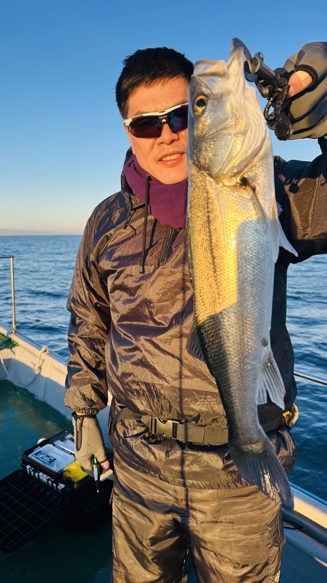 シーバス(スズキ)