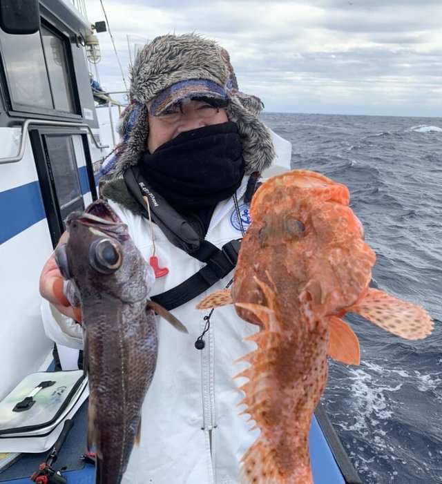 メダイ・オニカサゴ