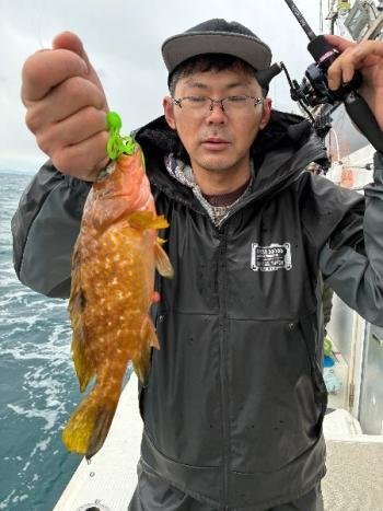 アコウ(キジハタ)