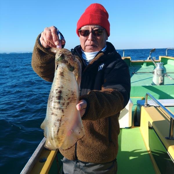 アオリ(アオリイカ)