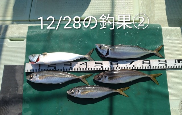 マアジ・マサバ