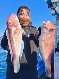 アマダイ(アカアマダイ)