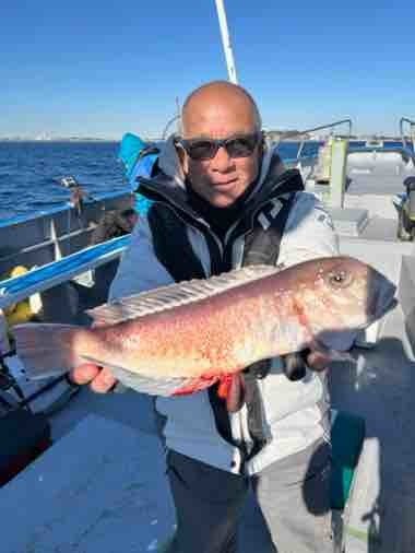 アマダイ(アカアマダイ)