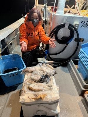 スミイカ(コウイカ)