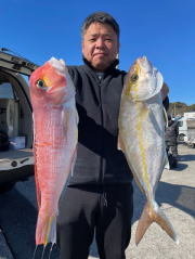 カンパチ・アマダイ(アカアマダイ)