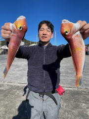 アマダイ(アカアマダイ)