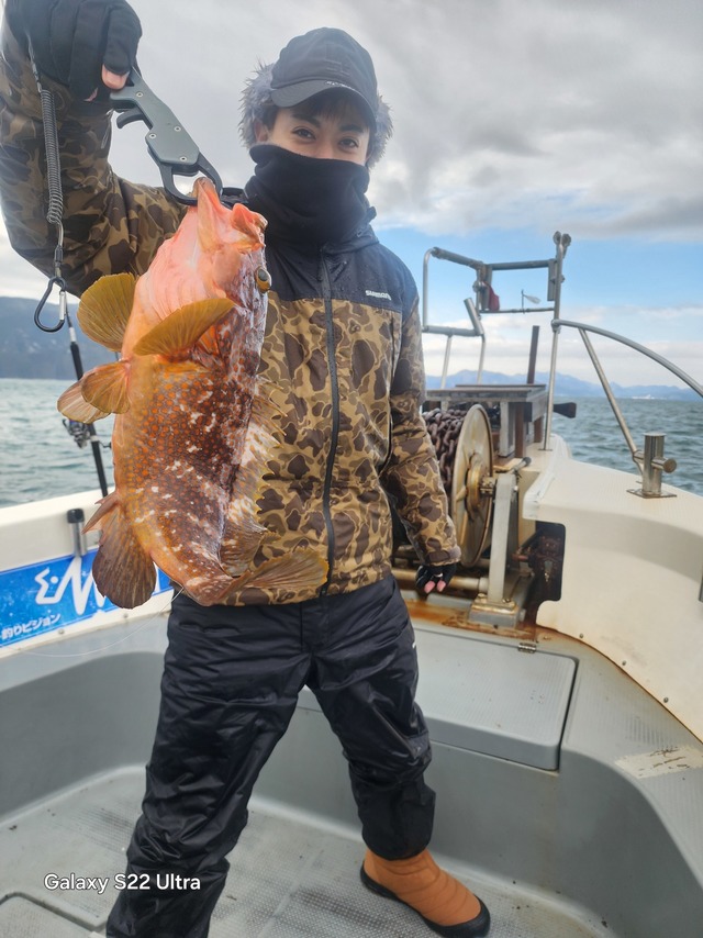 アコウ(キジハタ)