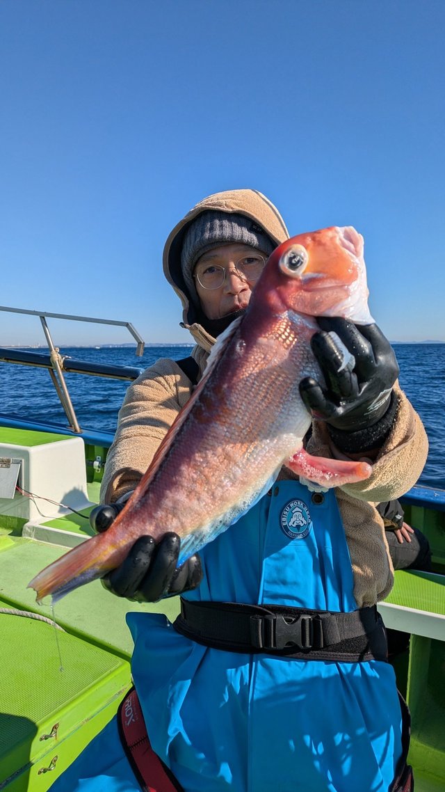 アマダイ(アカアマダイ)