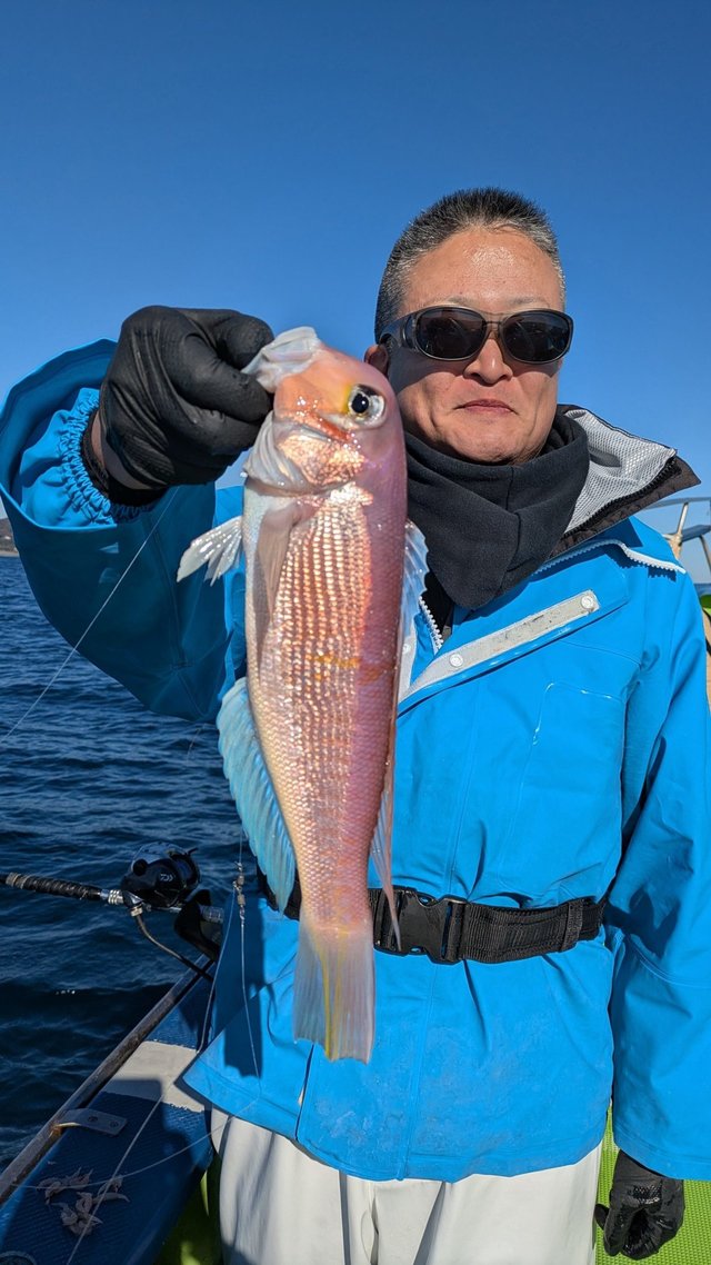 アマダイ(アカアマダイ)