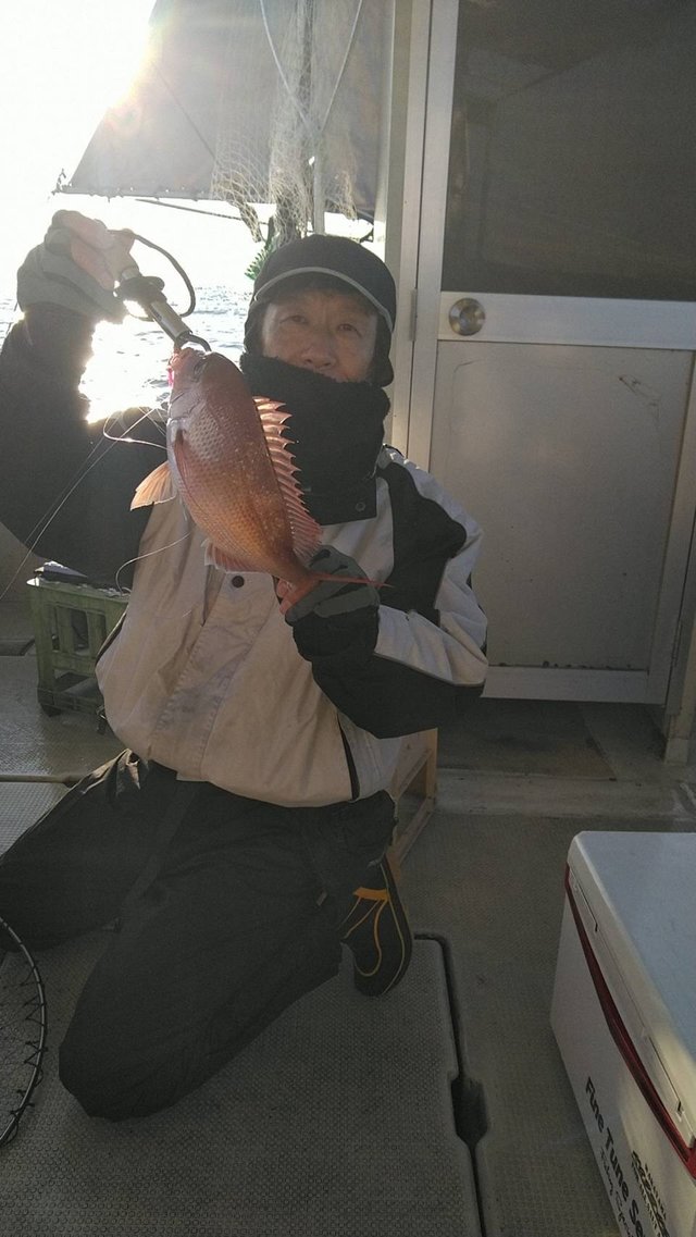 2025年12月最新】釣り船 福三郎（兵庫県）の最新釣果情報