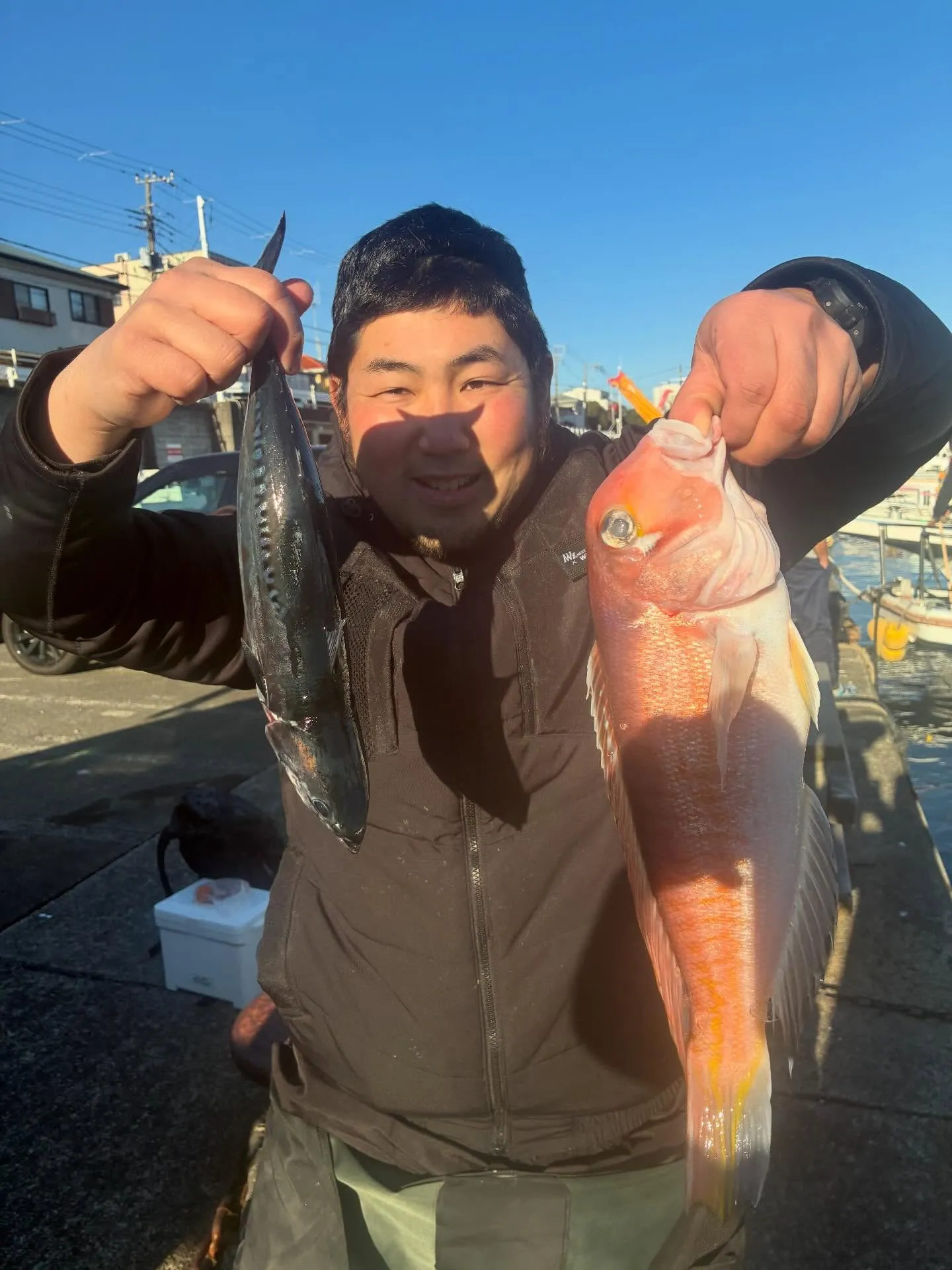 アマダイ(アカアマダイ)・サバ(マサバ)