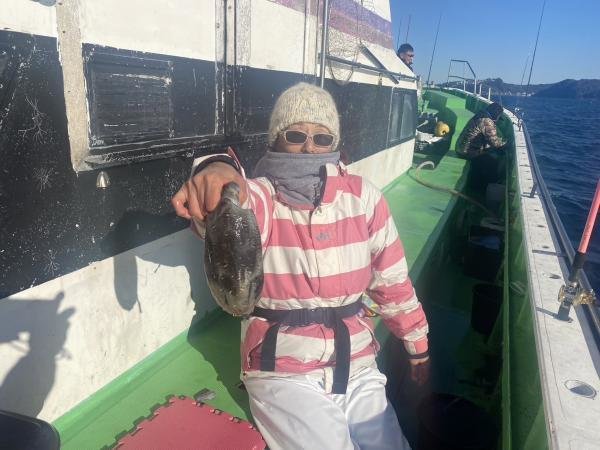 モンゴウイカ(カミナリイカ)