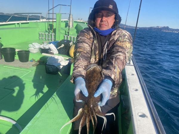 モンゴウイカ(カミナリイカ)