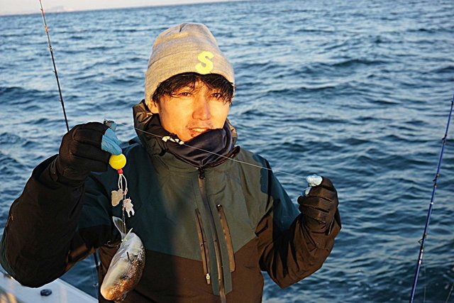 ショウサイフグ