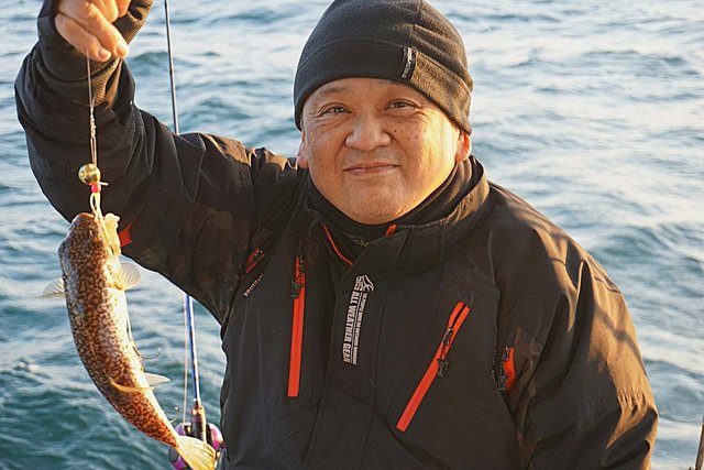 ショウサイフグ