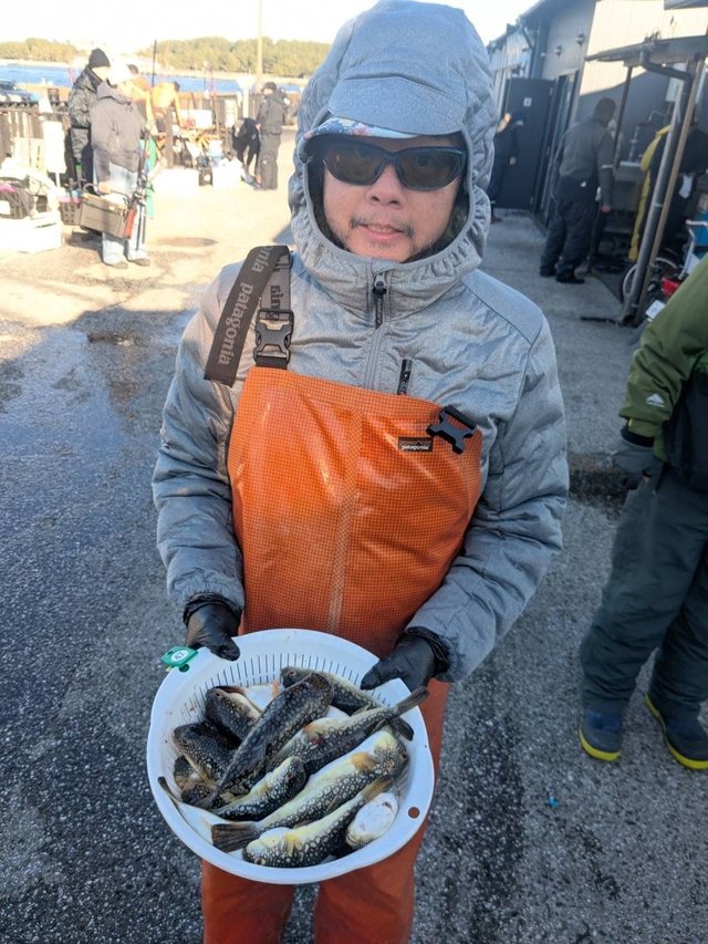 アカメフグ・コモンフグ・ショウサイフグ