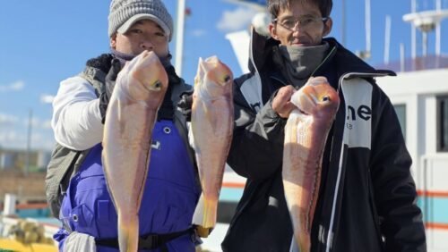 アマダイ(アカアマダイ)