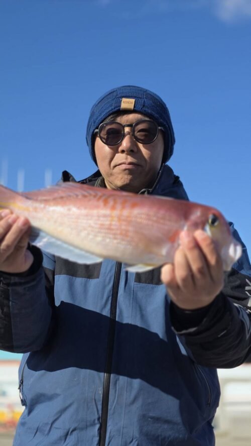 アマダイ(アカアマダイ)