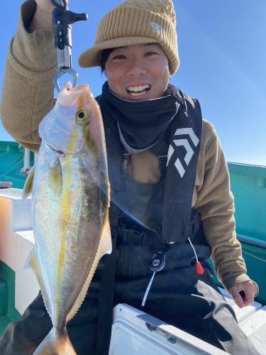 ショゴ(カンパチ)