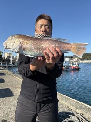 シロアマダイ