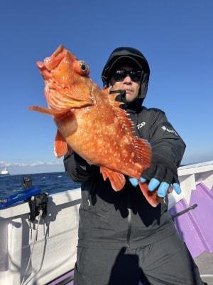ウッカリカサゴ
