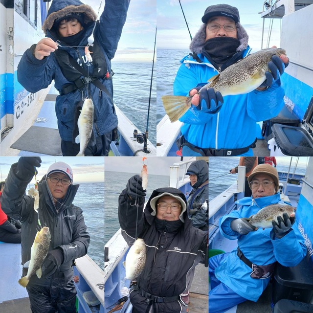 ショウサイフグ