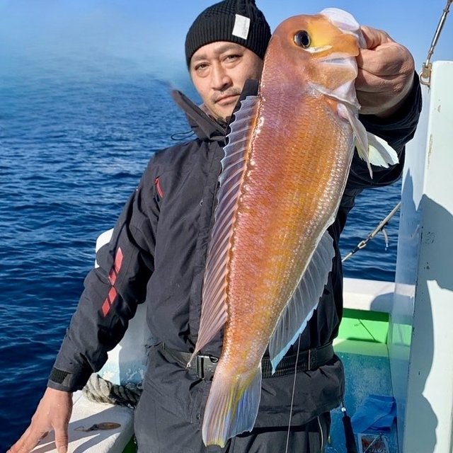 アマダイ(アカアマダイ)